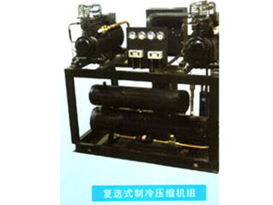 谷輪半封閉機(jī)組